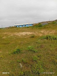 Investment land for sale in New Ningo Site C