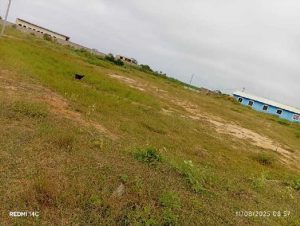 Seaside area land for sale in New Ningo Site C