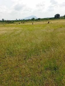 Residential plot for sale at Akuse Junction Ghana