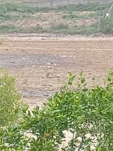Investment land for sale in New Ningo seaside
