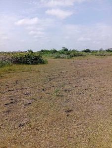 Affordable plot for sale in Shai Hills