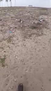 Beach access land for sale in Ada-Foah Ocansekope
