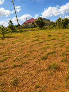 Registered land for sale in Afienya Hills Top Ghana