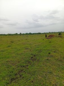 Affordable land for sale in Shai Hills plot view