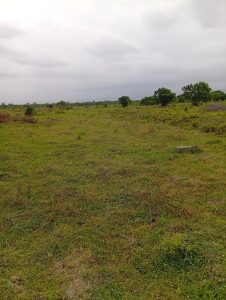 Environment around land for sale in Shai Hills Dedenya