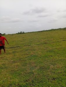 Access road to land for sale in Shai Hills