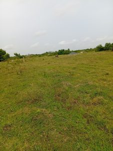 Investment land for sale in Shai Hills Greater Accra