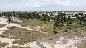 Plot area of beach land for sale in Old Ningo Greater Accra