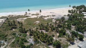 Beach land for sale in Old Ningo Greater Accra Ghana coastline