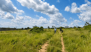 Land for sale in Nsawam Teacher Mante Ghana
