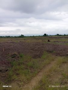 Road junction at Asutsuare Loum Junction near land for sale Greater Accra Ghana