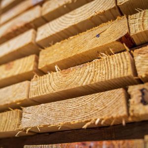 Wood (Timber)