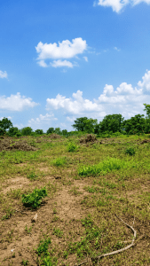 Land for sale in Akyem Kukurantumi Ghana