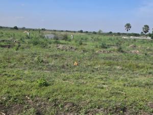 Land for sale in Doryumu for investment