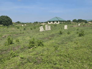 Registered serviced land for sale in Doryumu