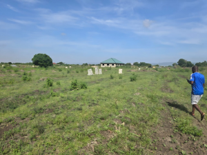 Serviced plots for sale in Doryumu town