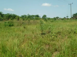 Large land for sale in Kpando Kudzra Ghana aerial view