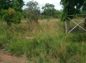 Roadside land for sale in Kpando Kudzra Volta Region
