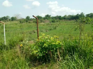 Titled land for sale in Kpando Kudzra Ghana